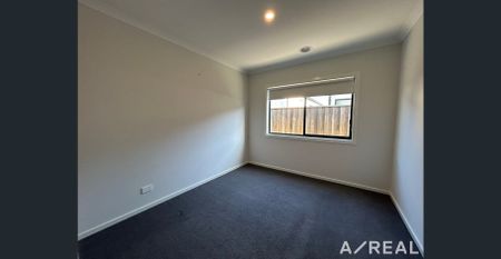 Beauty in Botanical! - Photo 2