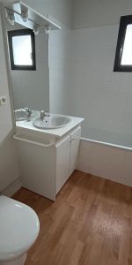 Location Appartement 1 pièce 25m² LAVAL 53000 - Photo 3