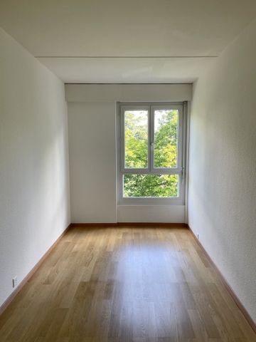 Quartier de la Gradelle - Chêne-Bougeries - Photo 2