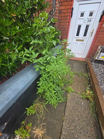 A Captivating Houseshare share for Rent in Hartlepool - Photo 2