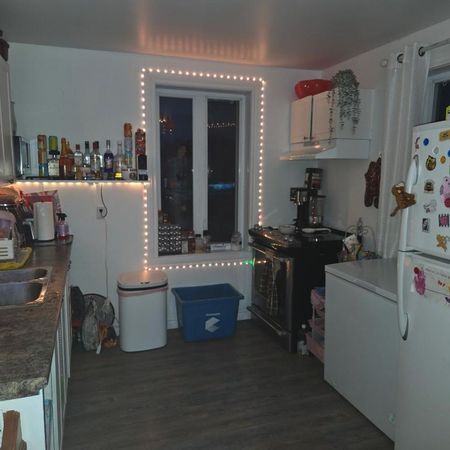 Logement 4 1/2 Sainte Martine - Photo 3