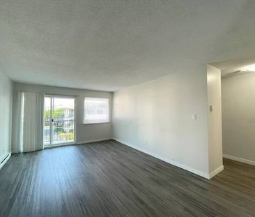 Spacious 2-Bedroom Apartment in Maple Ridge - Photo 2