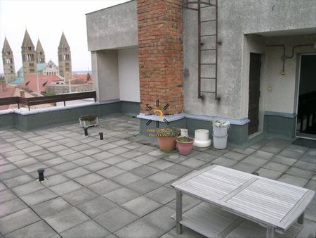 Kiadó lakás - Pécs - Fotó 3