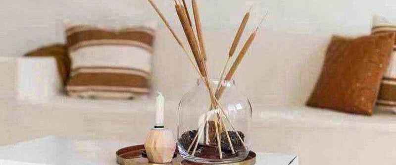 Ab dem 15.01.2026: ansprechende 2-Zimmer-Wohnung - Photo 1