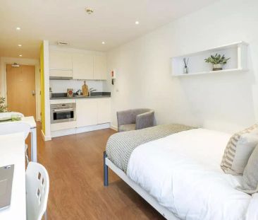 Standard Studio Gold - Photo 2