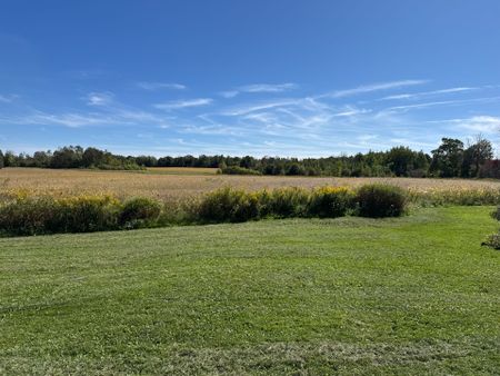 For Lease - 2755 4th Line, Innisfil, Ontario - Photo 5