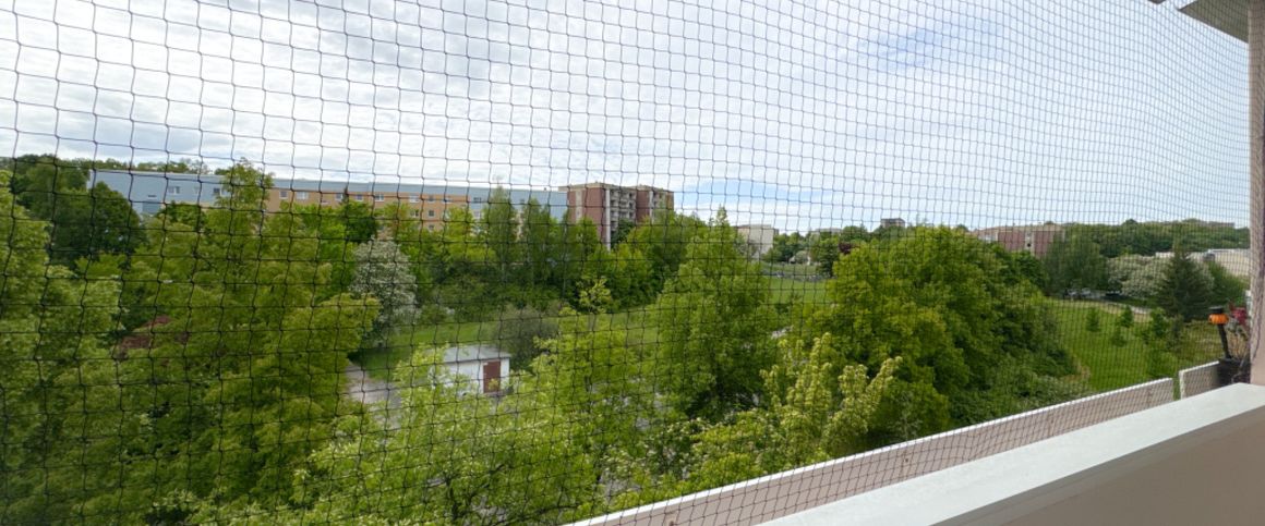 Wohnung, 2 Zimmer (55,23 m²) - Foto 1