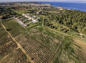 Βίλα για ενοικίαση - Κασσάνδρα, - Photo 3
