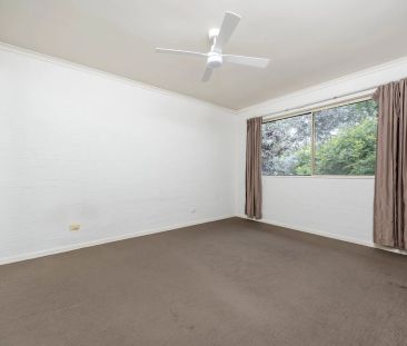 Sun drenched apartment - Photo 5