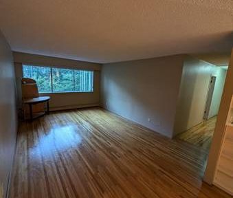 Large 1 Bedroom Great Location - Photo 1