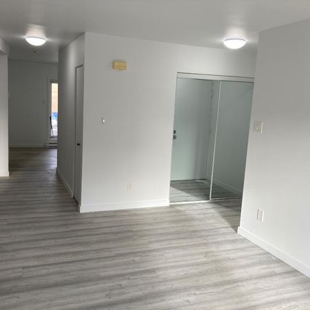 LONGUEUIL , 4 1/2 SECTEUR COLLECTIVITE NOUVELLE TOUT RENOVÉ - Photo 3