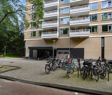 Appartement te huur: Staalmeesterslaan 217 1057 NT Amsterdam - Photo 1