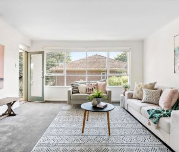 Unit 8/8 Osborne Avenue, - Photo 5