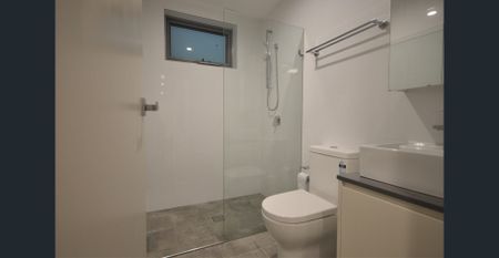 Spacious Studio - Close to City, RPA, University and King Street Newtown - Photo 5
