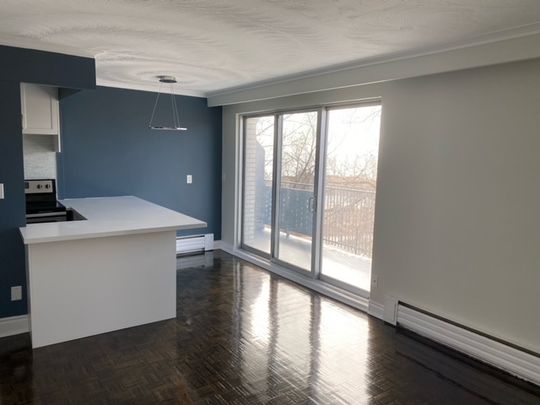 Gleaming hardwood floors, Quartz Counters, Balcony - Photo 1