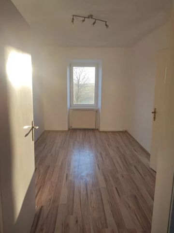 Eine schöne 4 - Zimmer Mietwohnung mit Gemeinschaftsgarten ca. 1500m² - Foto 4