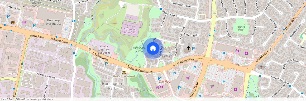 12 Els Close, Golflands, Manukau City