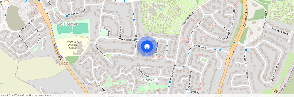 Blackhaven Close, Paignton