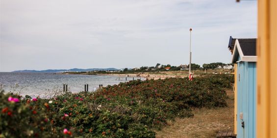 Paradisäpplegatan 5 - Photo 3