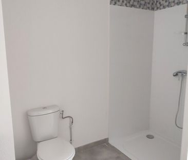 Location Appartement 2 pièces 41m² FONSORBES 31470 - Photo 4