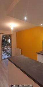 Location Appartement T1 Toulouse 1 chambre - Photo 3