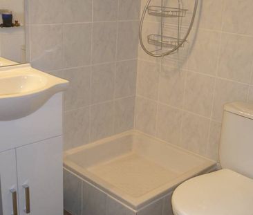 Location Appartement 1 pièce 18m² GRENOBLE 38100 - Photo 4