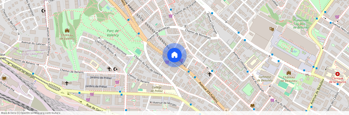 Avenue d'Echallens 70, 1004 LAUSANNE