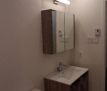 Saint-Rémi, 3 1/2 entièrement rénové à louer - Photo 3