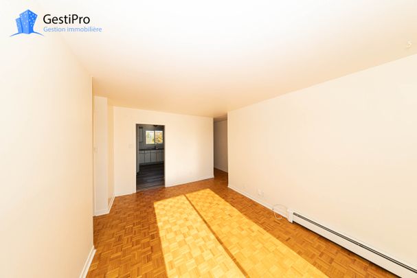 425-435 51e rue Ouest - Photo 1