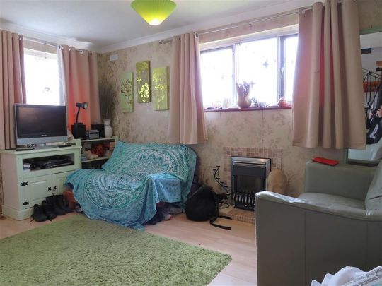 Lime Tree Avenue - Photo 1