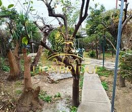 Μονοκατοικία για ενοικίαση - Αργυρούπολη - Photo 6