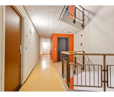 Lichtstraat - Photo 1