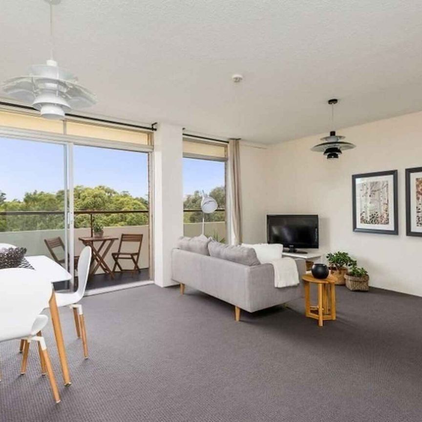 19/243-245 Ernest Street Cammeray - Photo 1