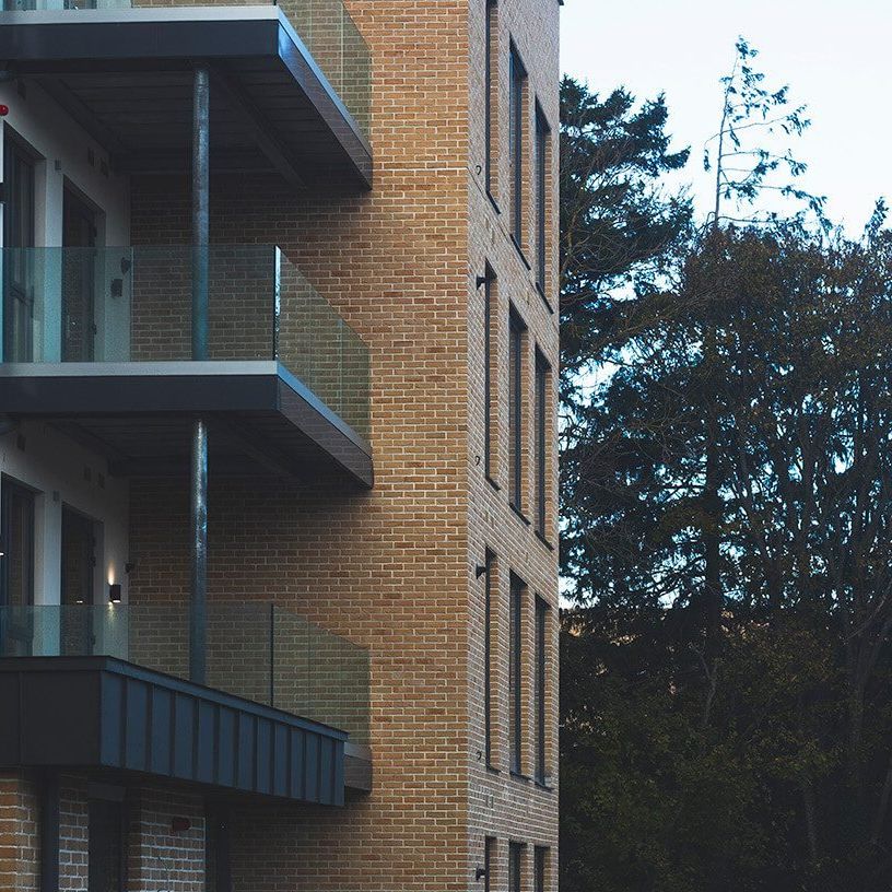 Scholarstown Wood - Photo 1