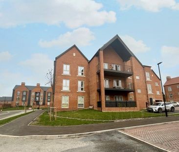 Bethell Road, Winchester - Photo 5