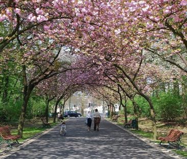 Appartement te huur - Foto 2