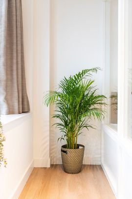 Ungerplein 2D10 - Foto 1