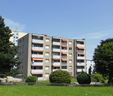 2.5 Zimmer, 54 m², 4. Stock - Foto 2