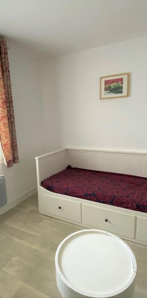 Location Appartement 1 pièce 19m² JOUE LES TOURS 37300 - Photo 1
