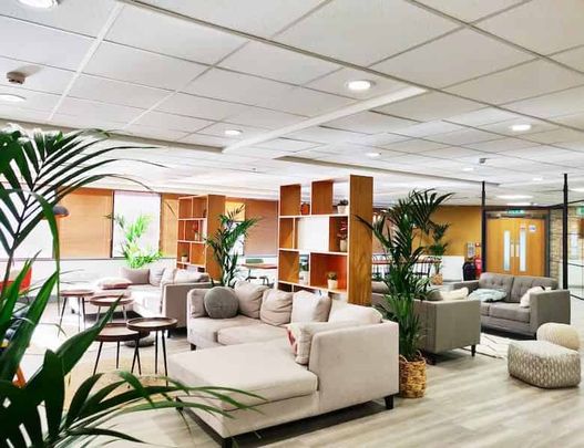 Studio Gold - Photo 1