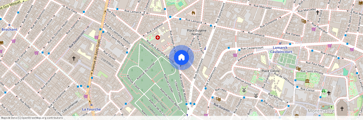 2 bis rue Eugene Carriere, 75018 Paris 18