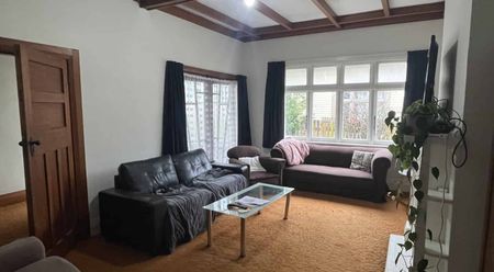Student Rental - Five Bedrooms - Centrally Located - Photo 4