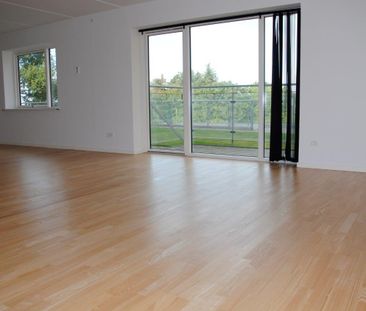 Møgelparken - Foto 4