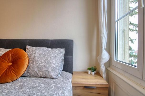 Travis #3 - Comfort and Community in Lausanne - Photo 1