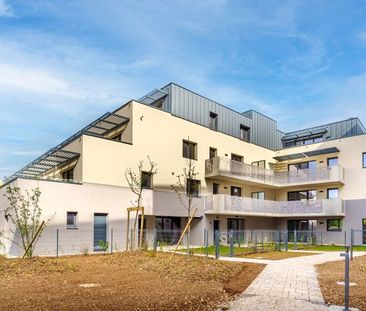 Appartement 1 pièce à louer - Photo 4