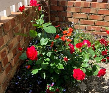 2 Bed End Terrace, Croydon, CR0 - Photo 4