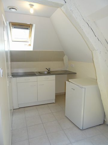 Location Appartement 1 pièce 13m² ORLEANS 45000 - Photo 3