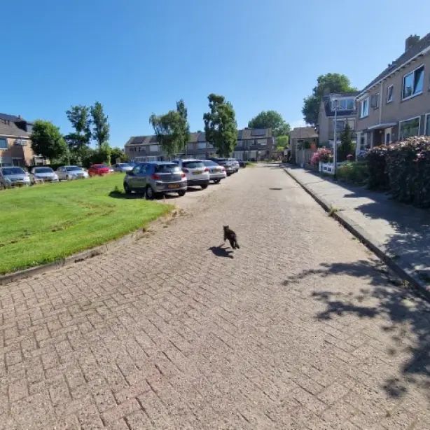 Raiffeisenlaan 41 - Foto 1
