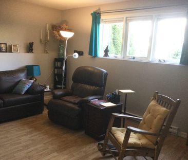 SOUS LOCATION / SUB LET - Photo 3