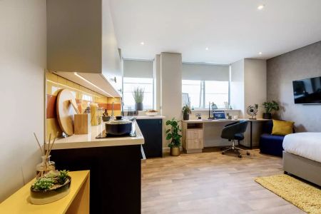 Platinum Executive Studio - Photo 3